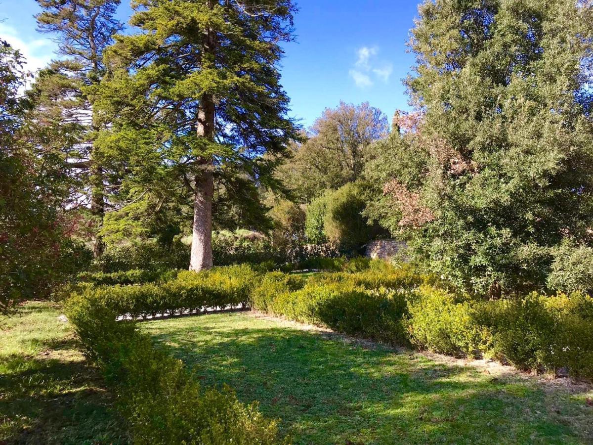 Villa Sant'Anastasio Suites Volterra Exterior photo